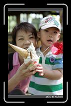 IMG_6055 * 566 x 910 * (249KB)