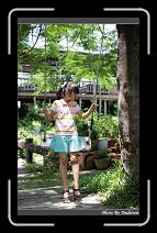 IMG_6076 * 566 x 910 * (247KB)
