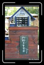 IMG_6086 * 566 x 910 * (237KB)