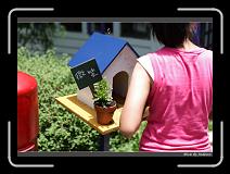 IMG_6088 * 850 x 608 * (238KB)