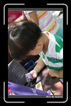 IMG_6159 * 566 x 910 * (239KB)