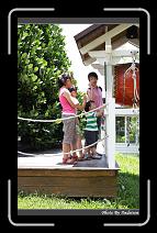 IMG_6185 * 566 x 910 * (247KB)