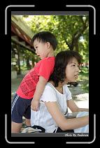 IMG_6292 * 566 x 910 * (247KB)