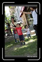 IMG_6340 * 566 x 910 * (236KB)