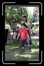 IMG_6343 * 566 x 910 * (246KB)