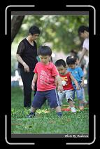 IMG_6375 * 566 x 910 * (237KB)