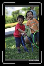IMG_6410 * 566 x 910 * (241KB)