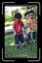 IMG_6411 * 566 x 910 * (236KB)