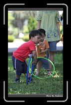 IMG_6416 * 566 x 910 * (233KB)