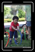 IMG_6417 * 566 x 910 * (227KB)