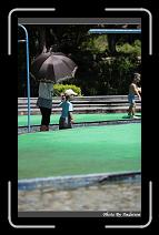 IMG_6571 * 566 x 910 * (231KB)