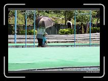 IMG_6574 * 850 x 608 * (234KB)