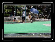 IMG_6576 * 850 x 608 * (246KB)