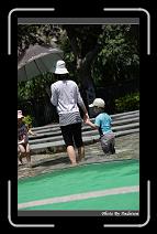IMG_6580 * 566 x 910 * (232KB)