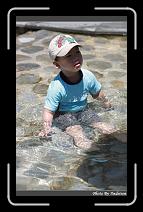 IMG_6588 * 566 x 910 * (243KB)