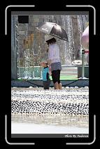 IMG_6602 * 566 x 910 * (239KB)