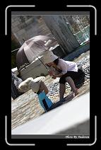 IMG_6607 * 566 x 910 * (235KB)