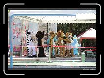 IMG_6616 * 850 x 608 * (246KB)