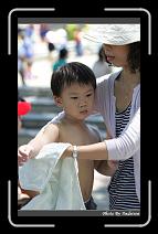 IMG_6626 * 566 x 910 * (232KB)