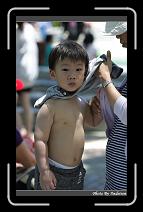 IMG_6629 * 566 x 910 * (249KB)