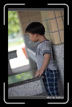 IMG_6683 * 566 x 910 * (231KB)
