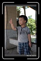IMG_6706 * 566 x 910 * (249KB)