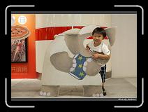 IMG_6725 * 850 x 608 * (234KB)