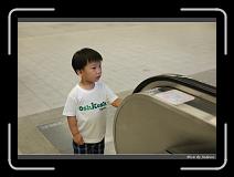 IMG_6745 * 850 x 608 * (210KB)