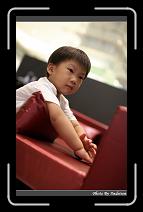 IMG_6761 * 566 x 910 * (203KB)