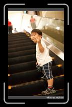 IMG_6768 * 566 x 910 * (218KB)