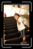 IMG_6769 * 566 x 910 * (226KB)