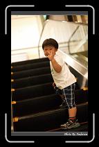 IMG_6770 * 566 x 910 * (226KB)