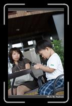 IMG_6797 * 566 x 910 * (237KB)