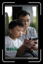 IMG_6799 * 566 x 910 * (245KB)