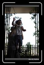 IMG_6806 * 566 x 910 * (244KB)