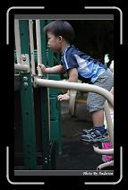 IMG_6861 * 566 x 910 * (227KB)
