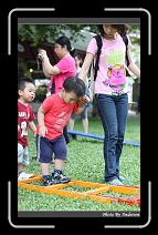 IMG_6951 * 566 x 910 * (244KB)