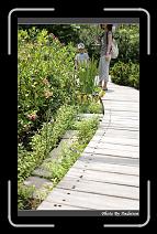 IMG_7027 * 566 x 910 * (250KB)