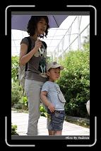 IMG_7035 * 566 x 910 * (239KB)