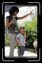IMG_7037 * 566 x 910 * (234KB)