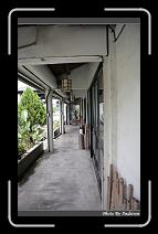 IMG_7230 * 566 x 910 * (241KB)