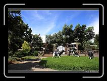 IMG_7255 * 850 x 608 * (242KB)