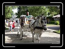 IMG_7266 * 850 x 608 * (242KB)