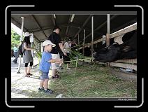 IMG_7273 * 850 x 608 * (238KB)