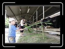 IMG_7274 * 850 x 608 * (249KB)