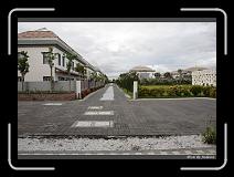 IMG_7331 * 850 x 608 * (242KB)