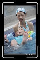 IMG_7376 * 566 x 910 * (246KB)