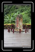 IMG_7512 * 566 x 910 * (243KB)