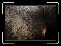 IMG_7527 * 850 x 608 * (247KB)