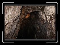 IMG_7533 * 850 x 608 * (238KB)